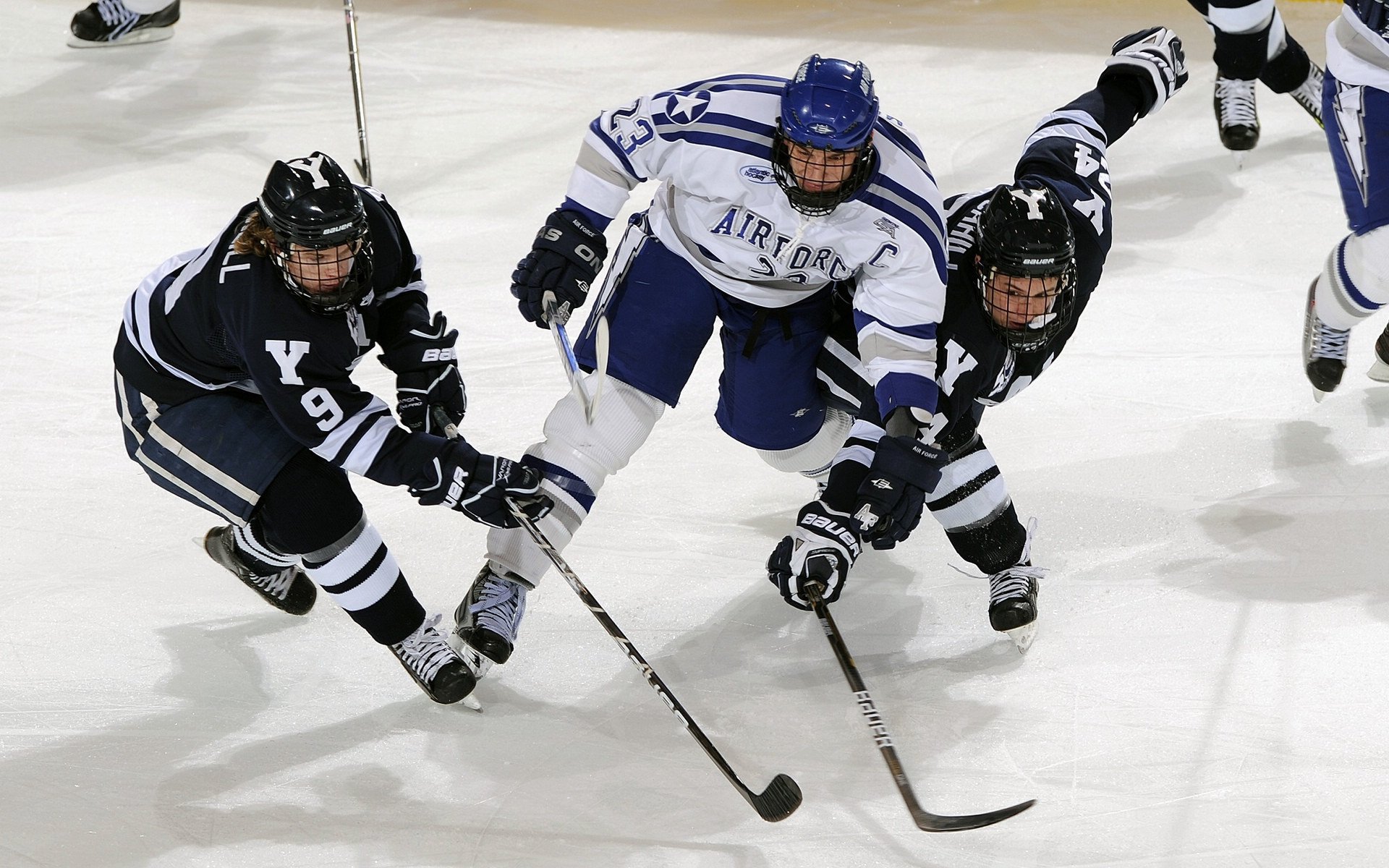 历史性的赛道:见证冠军成长的摇篮,历史方面的比赛