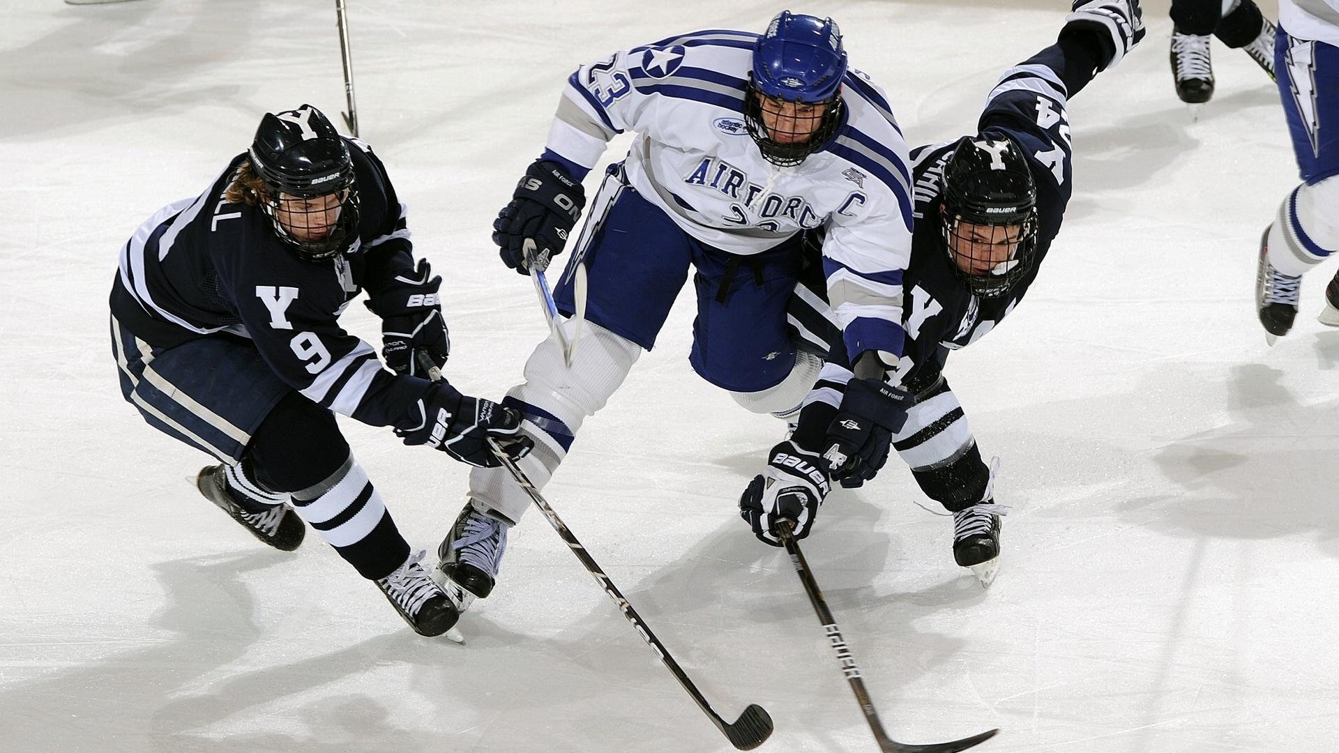 巴西马术协会举办国际马术科技大会，推动行业技术交流与合作。